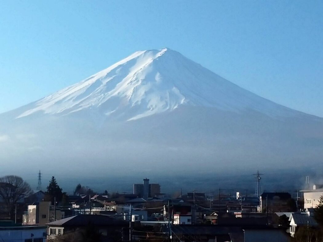 今年もよろしくお願いいたします🎍